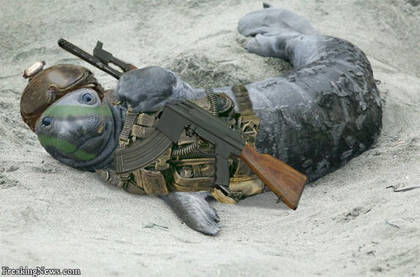 Navy_Seal.jpg