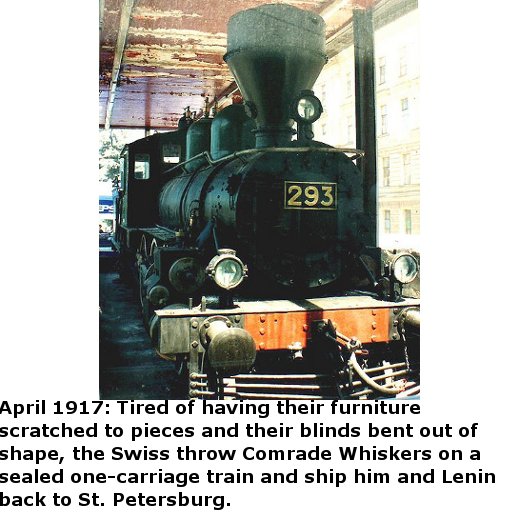 whiskers3.jpg