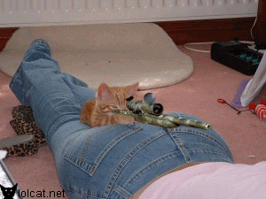 sniper_cat.gif