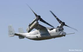 osprey.jpg