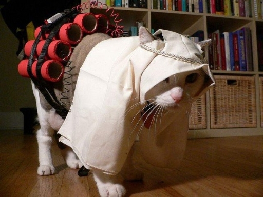 jihadkitty.jpg