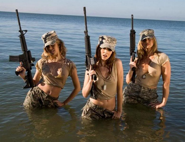 AssaultWeaponPleasures.jpg