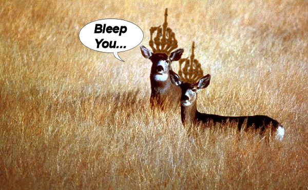 DeerSlide1-600x369.jpg