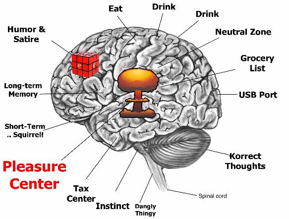 Brain2.jpg