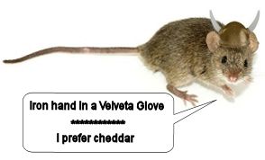 viking mouse 3.jpg