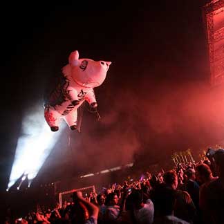 Pig_PinkFloyd.jpg