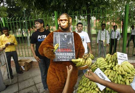 Monkey_Suit.jpg