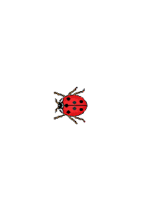 Figure8Bug.gif