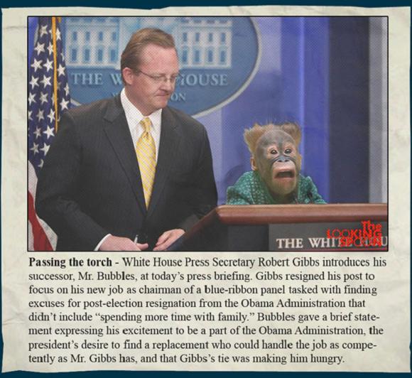 gibbsreplacedbymonkey.jpg