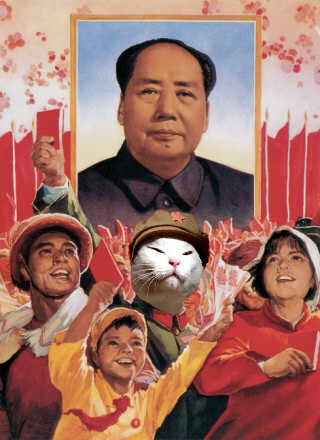 mouseyfriends.jpg