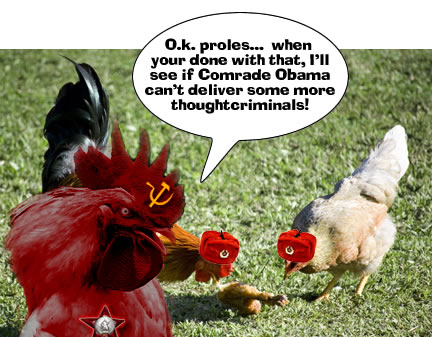chickens-eating-chicken.jpg