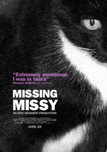 the_cat_is_missying_2.jpg