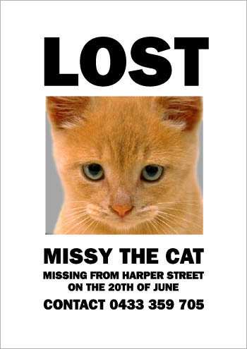 the_cat_is_missying_4.jpg