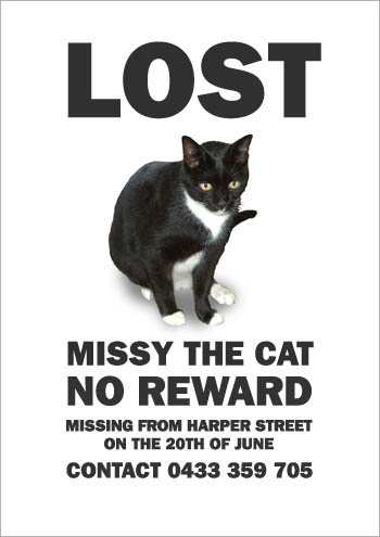 the_cat_is_missying_6.jpg