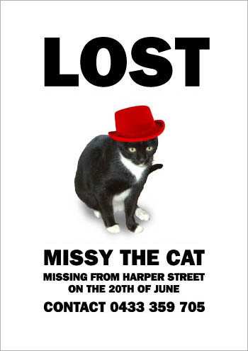 the_cat_is_missying_7.jpg