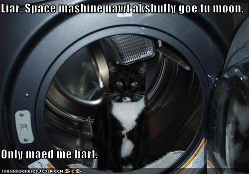 cat spin.jpg