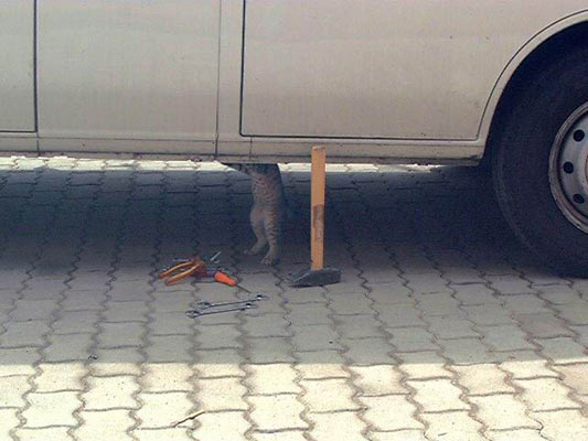 mechanic.jpg