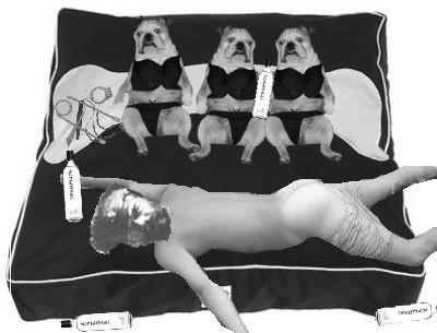 pupspleasurepalace.jpg