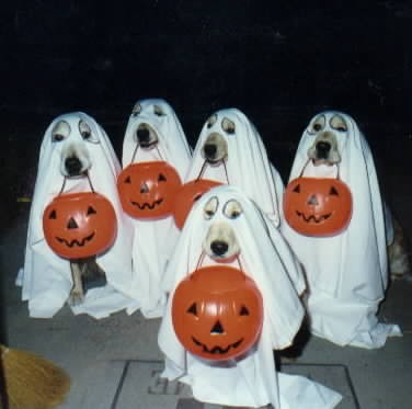 image0021.jpg