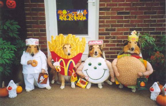 image0032.jpg
