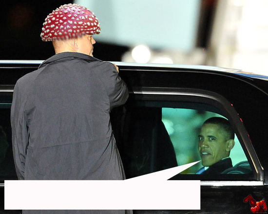 Obama INsane copy.jpg