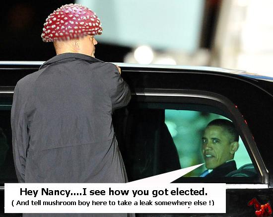 Obama Mushroom 1.jpg