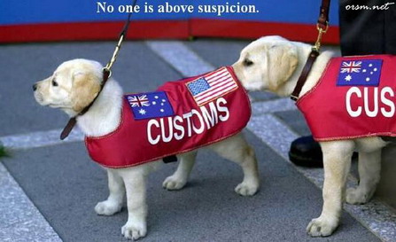 dog-sniffing-butt.jpg