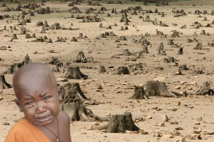 Deforestation copy.jpg