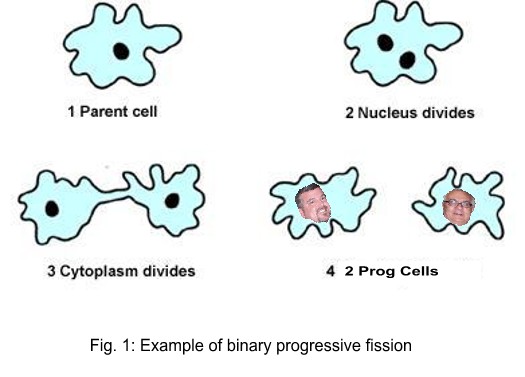 Binary_fission.JPG