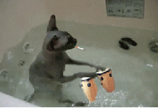 0578726001296386150.gif
