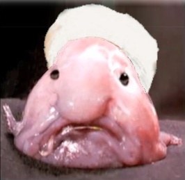 osama_blob_fish.jpg