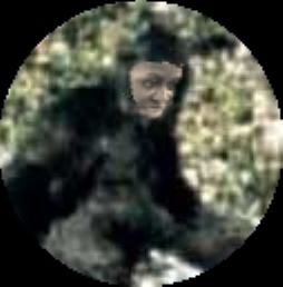 bigfoot_02.jpg