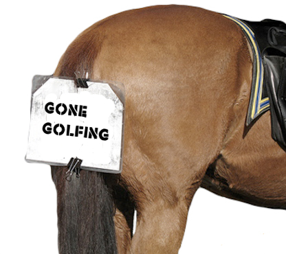 horse.jpg