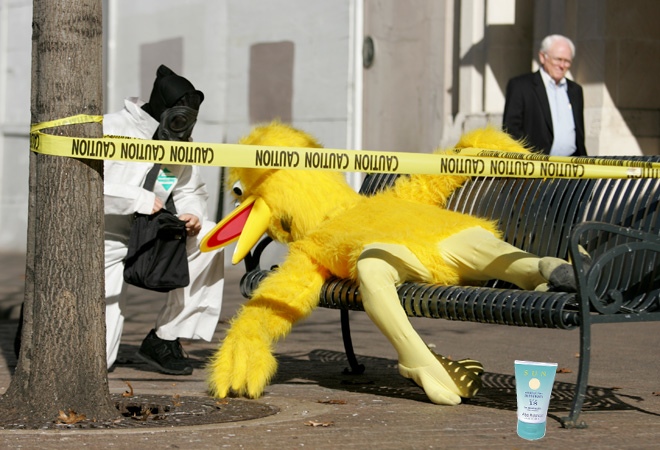 bigbirdcarsonhead.jpg