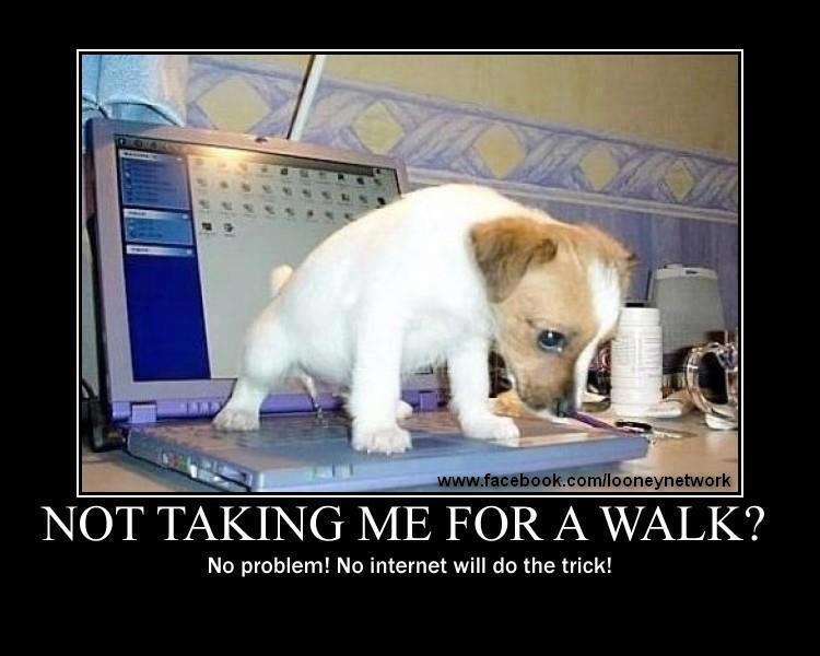 dogpissingoncomputer.jpg