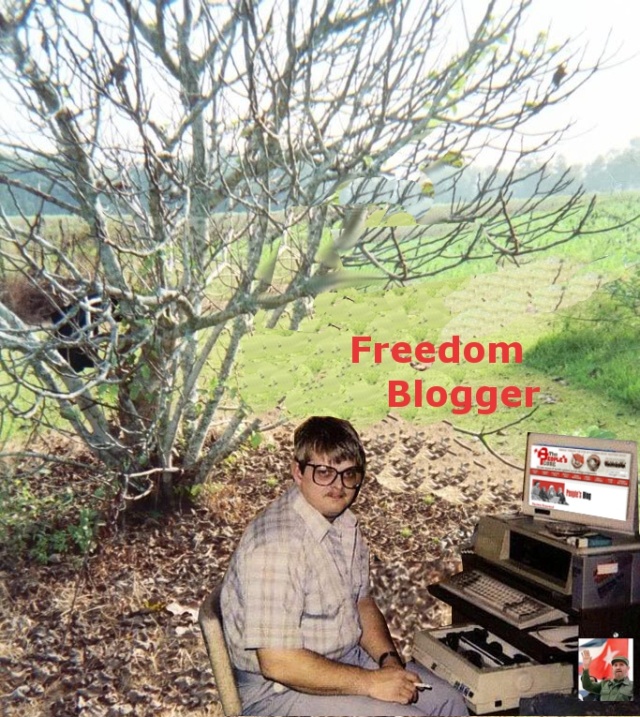blog jungle.jpg