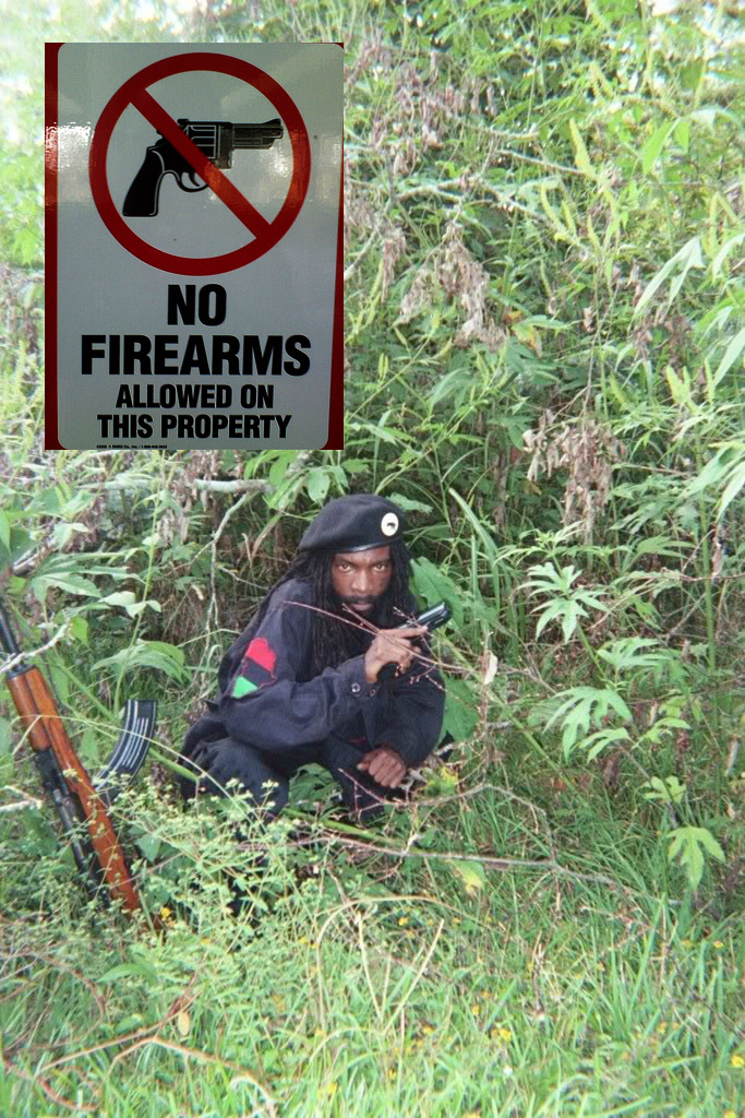 bp gun.jpg