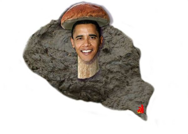 obama mushroom.jpg