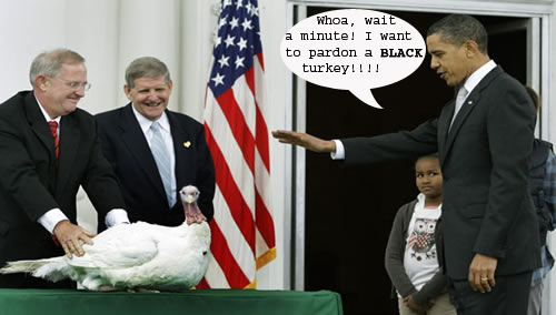 obama-turkey2.jpg
