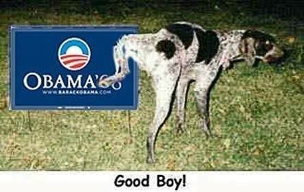 dog-peeing-on-obama-sign.jpg