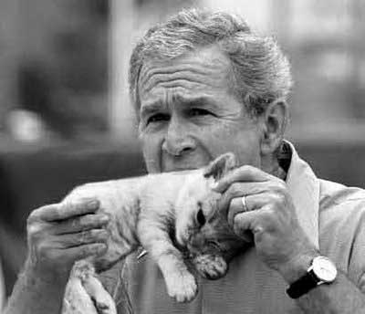 Bush_Eats_Kitten.jpg