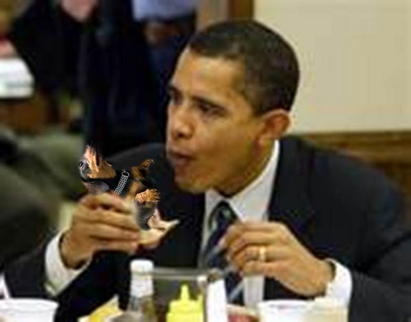 Obama eating dog.jpg