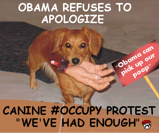 canine occupy.jpg