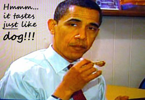 obama_eats_chicken copy.jpg