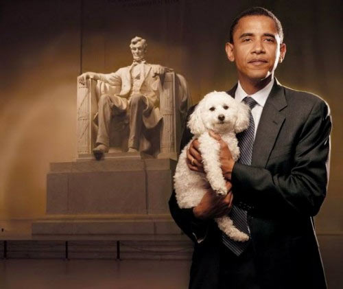 Obama_Poodle_Lincoln.jpg