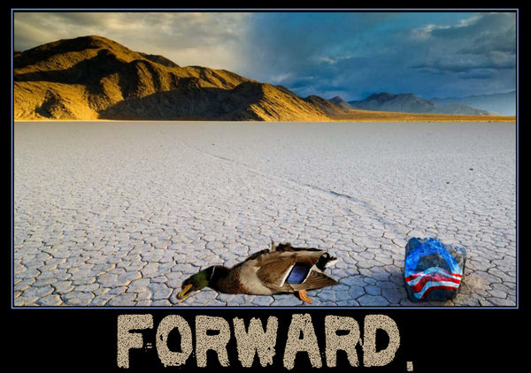 forward duck.jpg