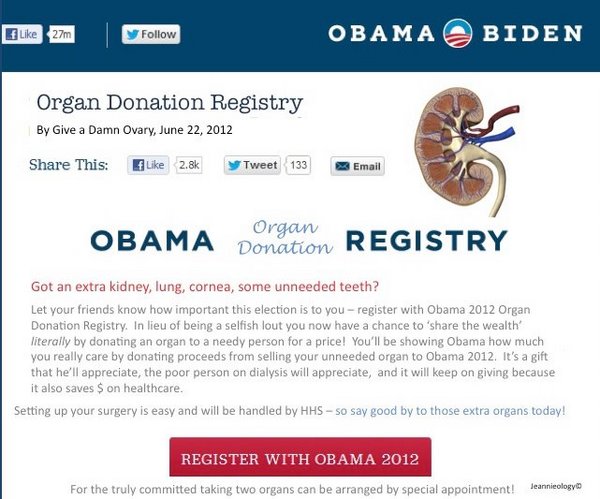 Obama Registry.jpg
