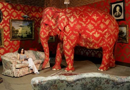 elephant_in_room.jpg