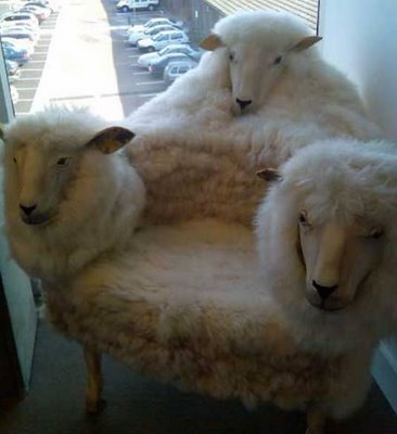 sheep chair.jpg