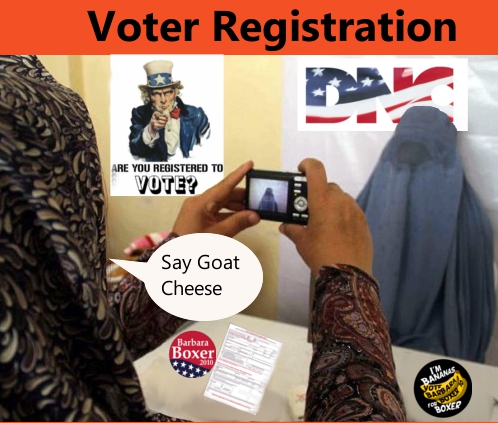 voter registration.jpg